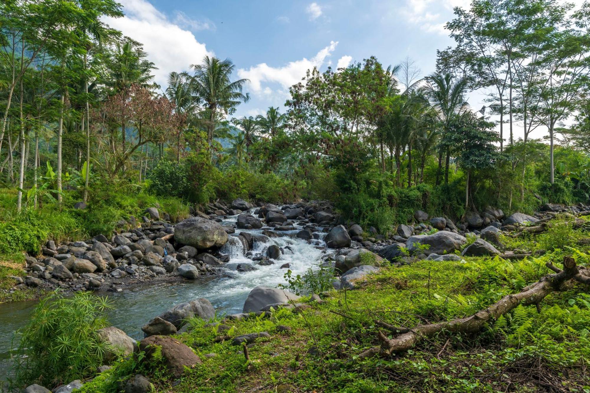 Wapa Di Ume Sidemen Hotel Sidemen  Buitenkant foto The river in the village of Kupapah