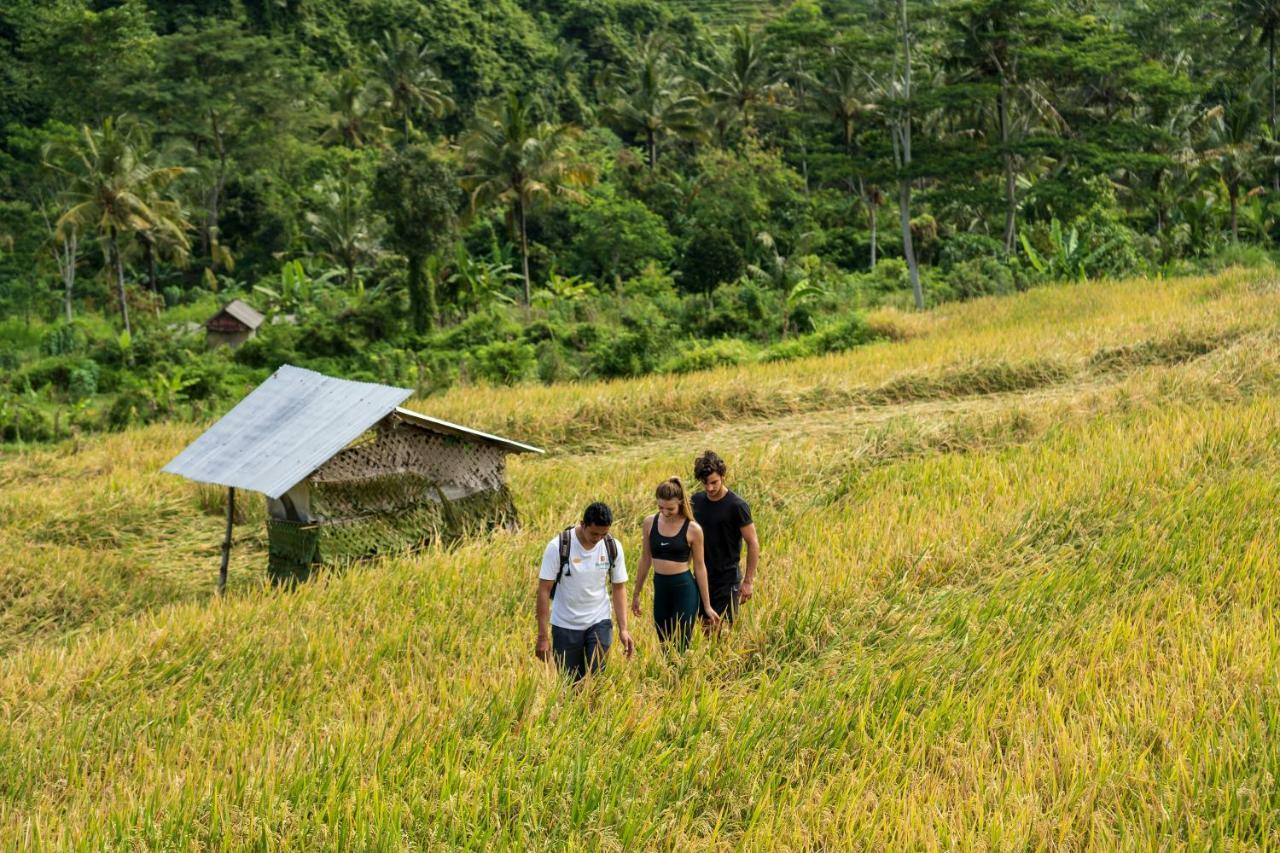 Wapa Di Ume Sidemen Hotel Sidemen  Buitenkant foto A rice field in Bali
